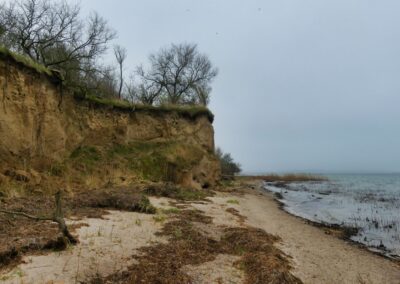 Wanderung auf dem Boiensdorfer Werder