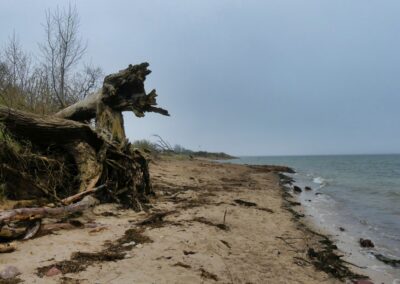 Wanderung auf dem Boiensdorfer Werder