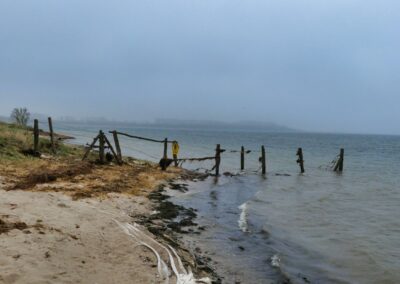 Wanderung auf dem Boiensdorfer Werder