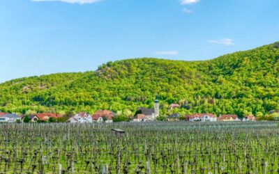 Top Tours Dürnstein – E – Wein-Tour Loiben