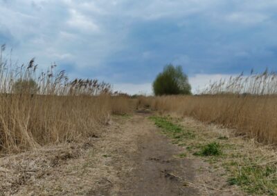 Vom Fischerdorf Hoben zum Zierower Strand