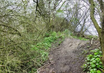 Vom Fischerdorf Hoben zum Zierower Strand