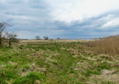 hoben zierow 018