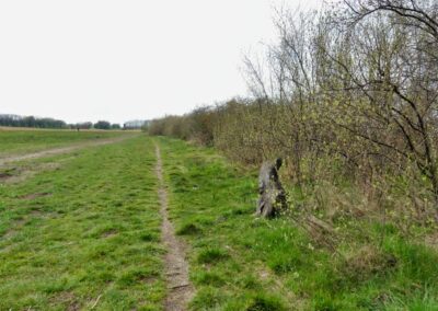 hoben zierow 028