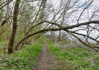 Vom Fischerdorf Hoben zum Zierower Strand