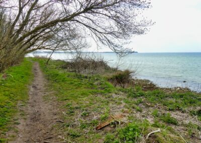 hoben zierow 033