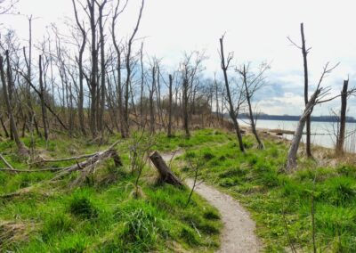 Vom Fischerdorf Hoben zum Zierower Strand