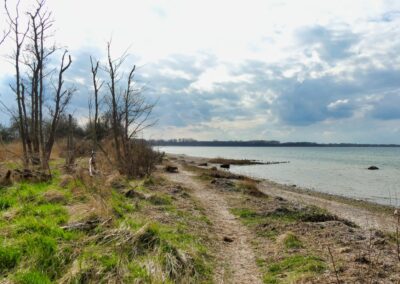 Vom Fischerdorf Hoben zum Zierower Strand