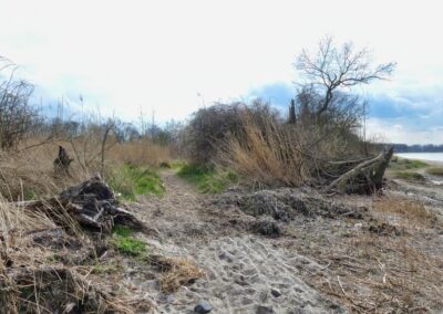 Vom Fischerdorf Hoben zum Zierower Strand