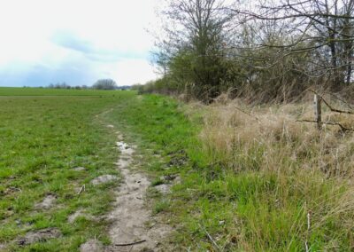Vom Fischerdorf Hoben zum Zierower Strand