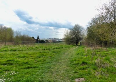 hoben zierow 042