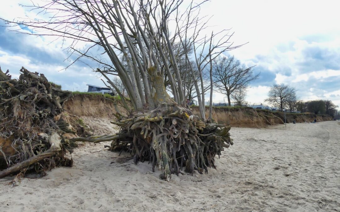 Vom Fischerdorf Hoben zum Zierower Strand