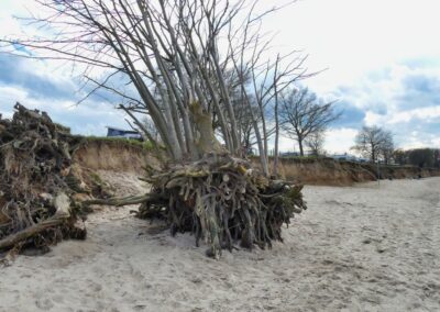 Vom Fischerdorf Hoben zum Zierower Strand