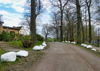 hoben zierow 047