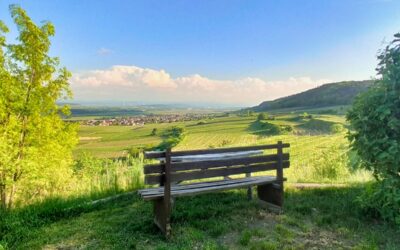 “Tut gut” Wanderweg Nußdorf ob der Traisen – Route 2