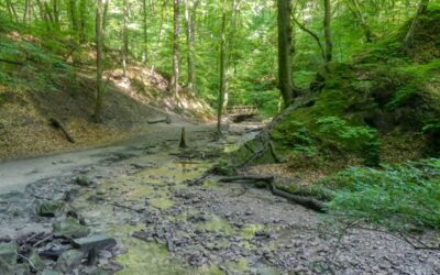 Durch die Hagenbachklamm zur Franzosenkapelle in Unterkirchbach