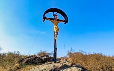 Die Weinbergwanderung Kreuzberg in Krems