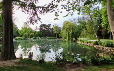 Park- und Uferrunde in Schwechat