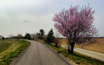 Der “Tut gut!”-Schritteweg “Gesundes Langenrohr” – Kleiner Rundweg