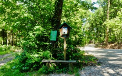 Der Große Rundwanderweg zum Seelackenberg