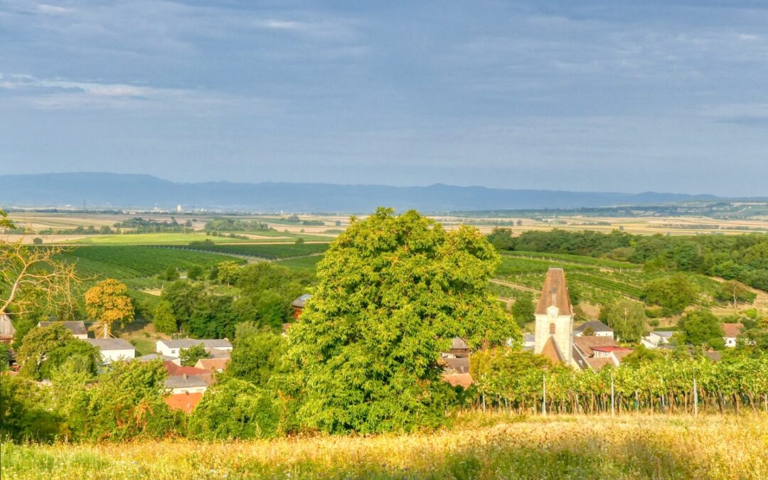 “tut gut” Wanderweg Großweikersdorf – Route 3: Ruppersthaler Wanderweg