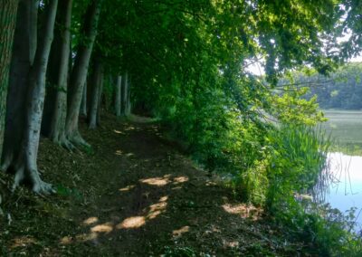 Rund um den Ploggensee und zum Aussichtsturm Hamberge auf dem Iserberg bei Grevesmühlen
