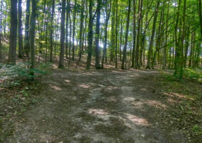 Rund um den Ploggensee und zum Aussichtsturm Hamberge auf dem Iserberg bei Grevesmühlen