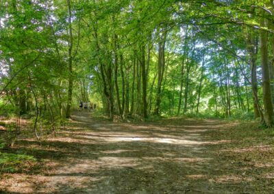 grevesmuehlen ploggensee 020