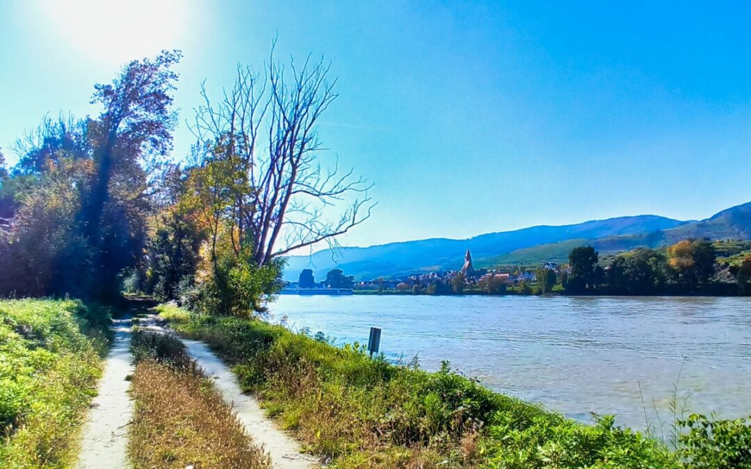 Auf der Venedigau bei Rührsdorf