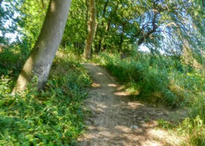 Vom Zierower Strand über Bades Huk zum Campingplatz Beckerwitz