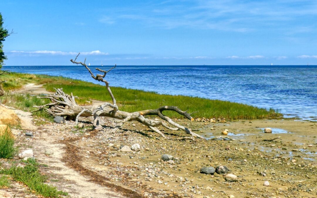 Vom Zierower Strand über Bades Huk zum Campingplatz Beckerwitz