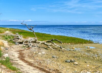 Vom Zierower Strand über Bades Huk zum Campingplatz Beckerwitz