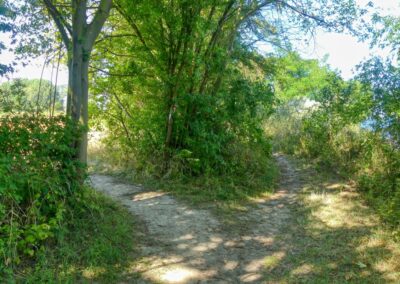 Vom Zierower Strand über Bades Huk zum Campingplatz Beckerwitz