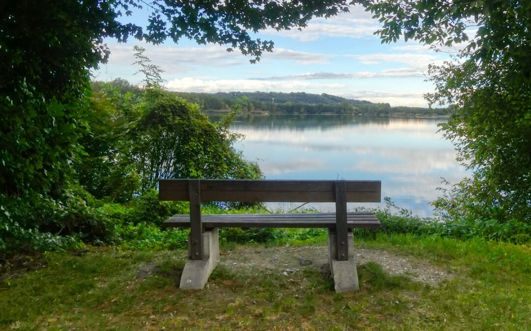 Nordic Walking – Viehofner Seen – Große Runde