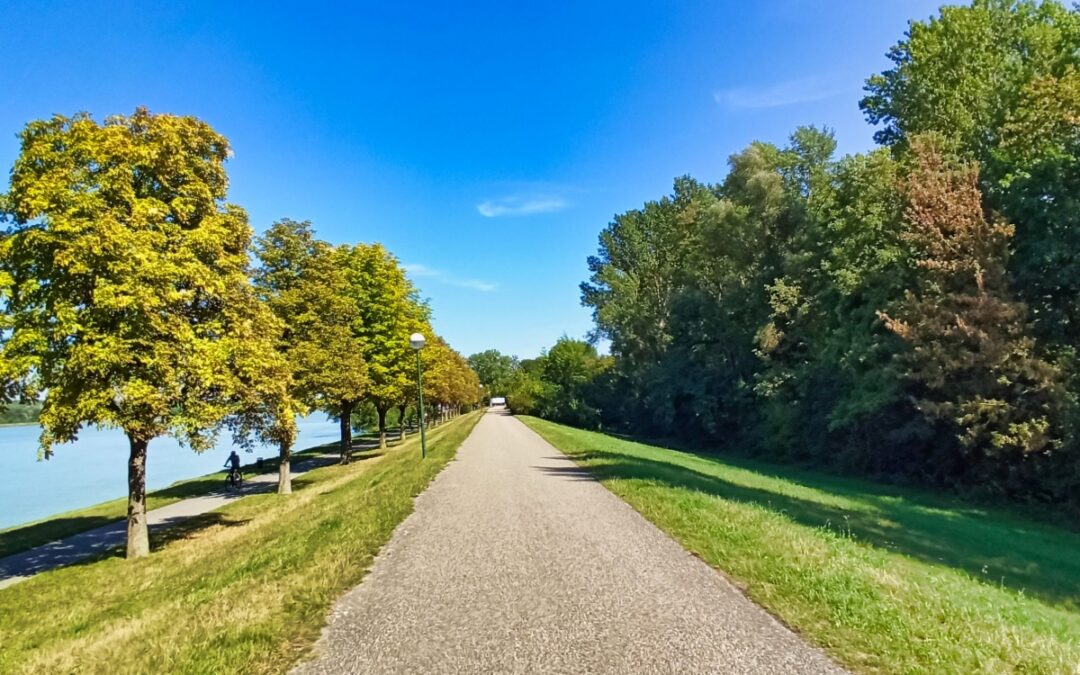 Der “tut gut”-Schritteweg “Gesundes Tulln an der Donau”