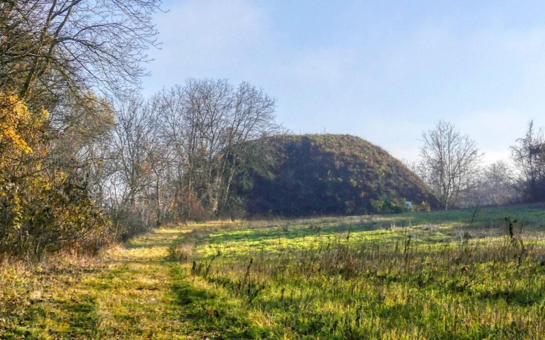 “Tut gut” Wanderweg Großweikersdorf – Route 2: Kugelberg-Runde