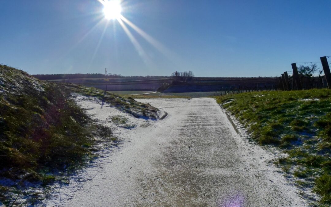 Der Wechtl-Rundwanderweg in Traismauer