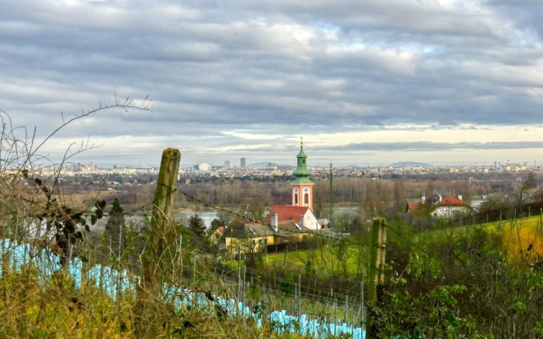 Der Kahlenbergerdorfer Weinrundwanderweg