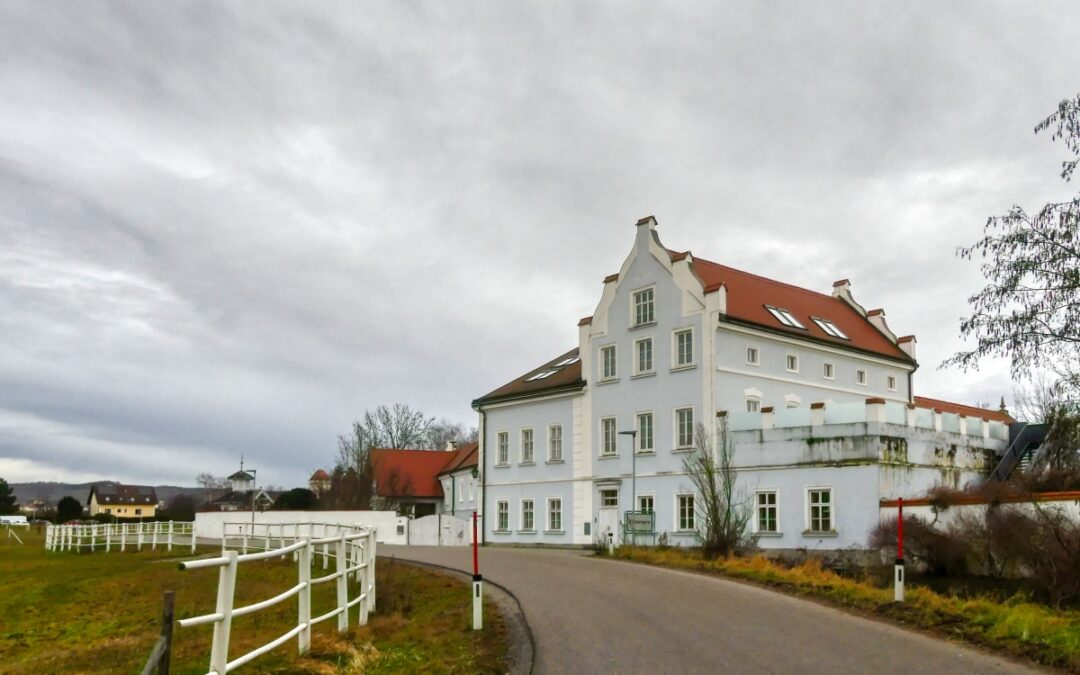 Wanderung zu 6 Mühlen am Mühlkamp rund um Hadersdorf