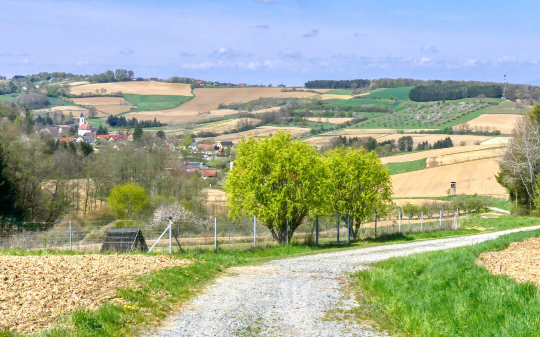 Die Williamsbirnen-Runde in Kukmirn