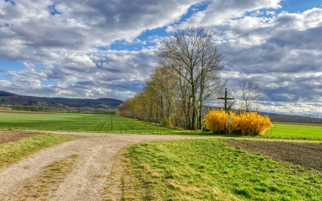 Der “Tut gut!”-Schritteweg “Gesundes Muckendorf-Wipfing” – Wipfinger Runde