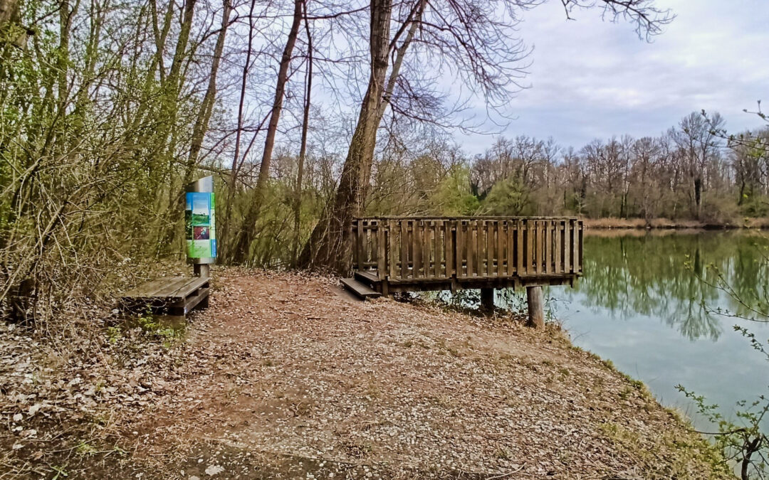 Antenne Flusslandschaft Murauen in Bad Radkersburg