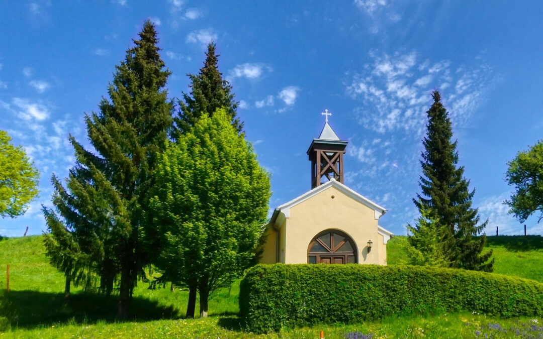 Die Laufrunde 6 – Stilles Tal in St. Pölten