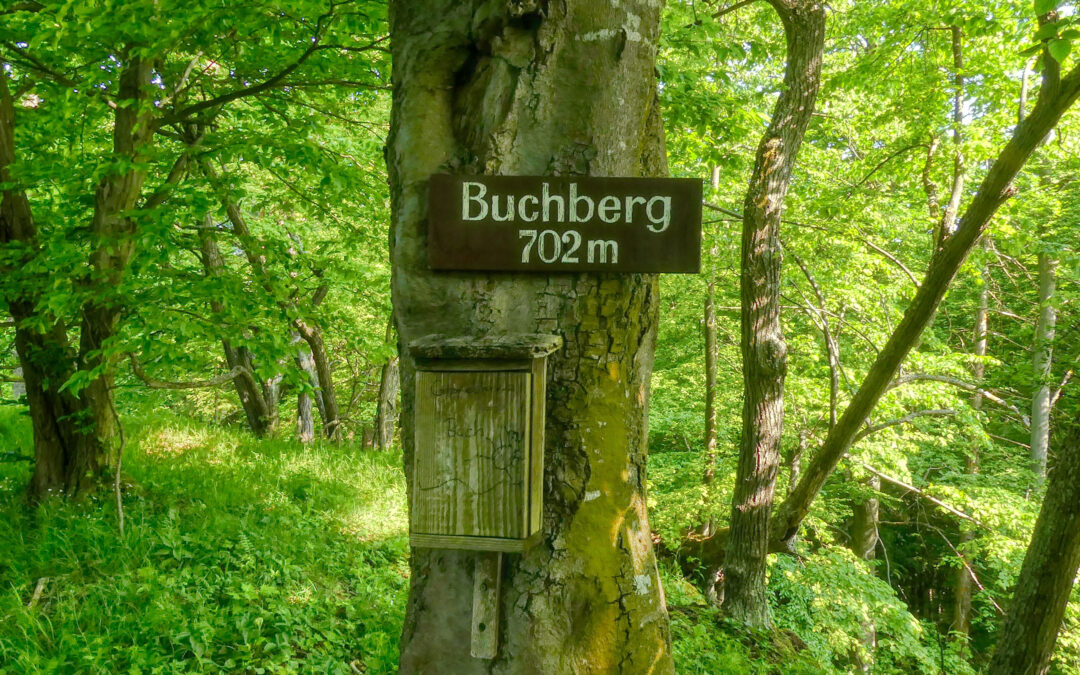 Der Buchberg-Rundweg in Spitz