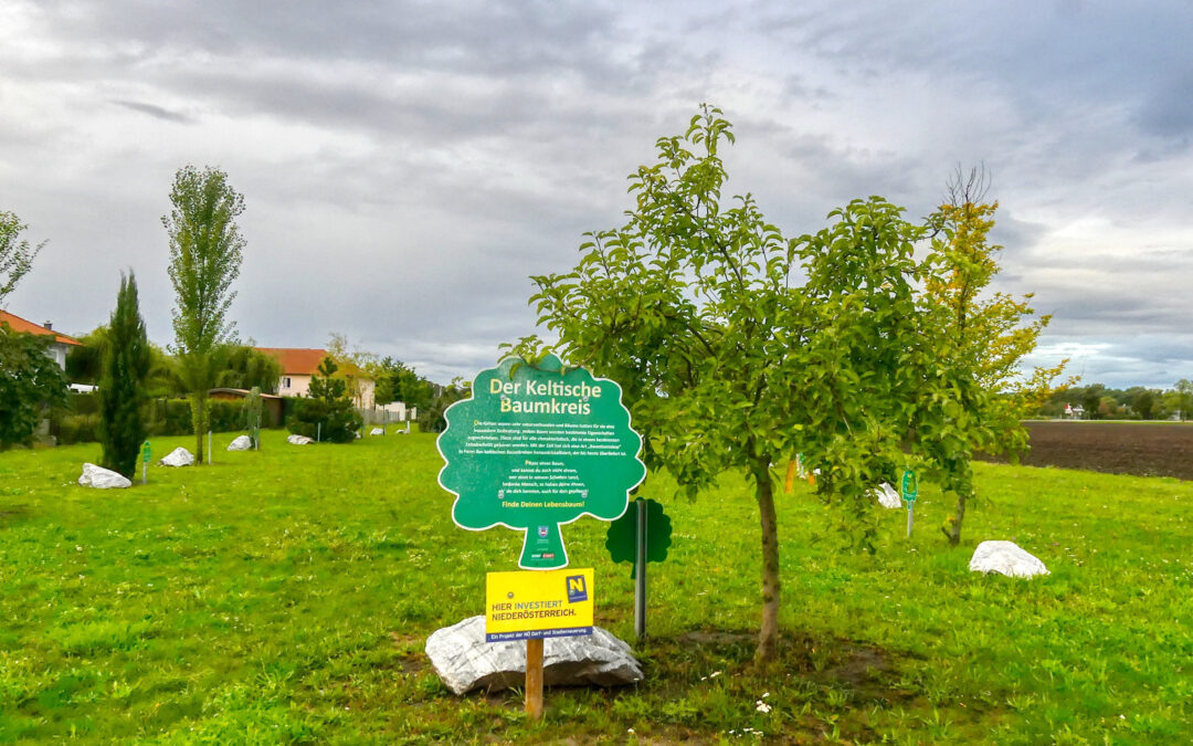 Die Wanderroute “Keltischer Baumkreis” in Laa an der Thaya