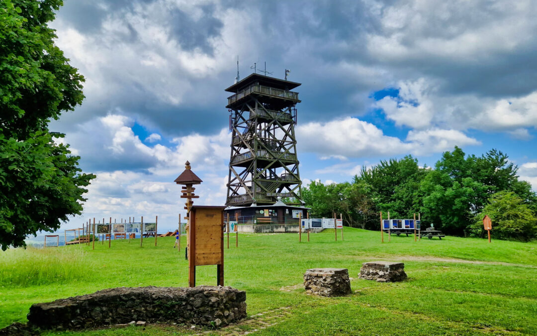 Von Oberleis auf den Oberleiser Berg