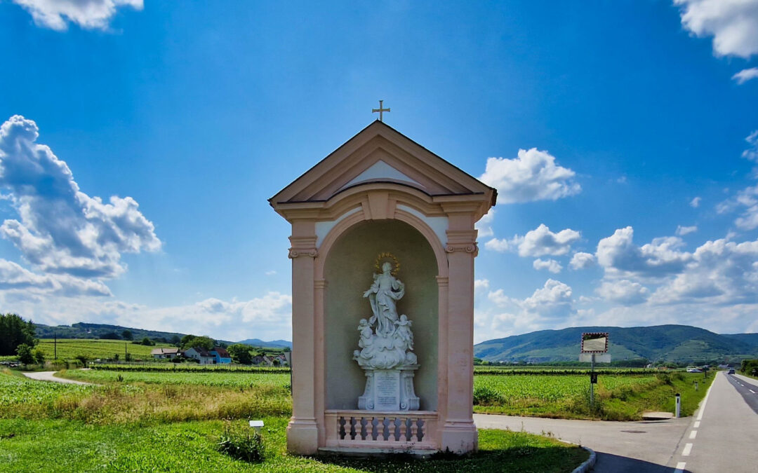 Ein Weinbergspaziergang bei Furth bei Göttweig