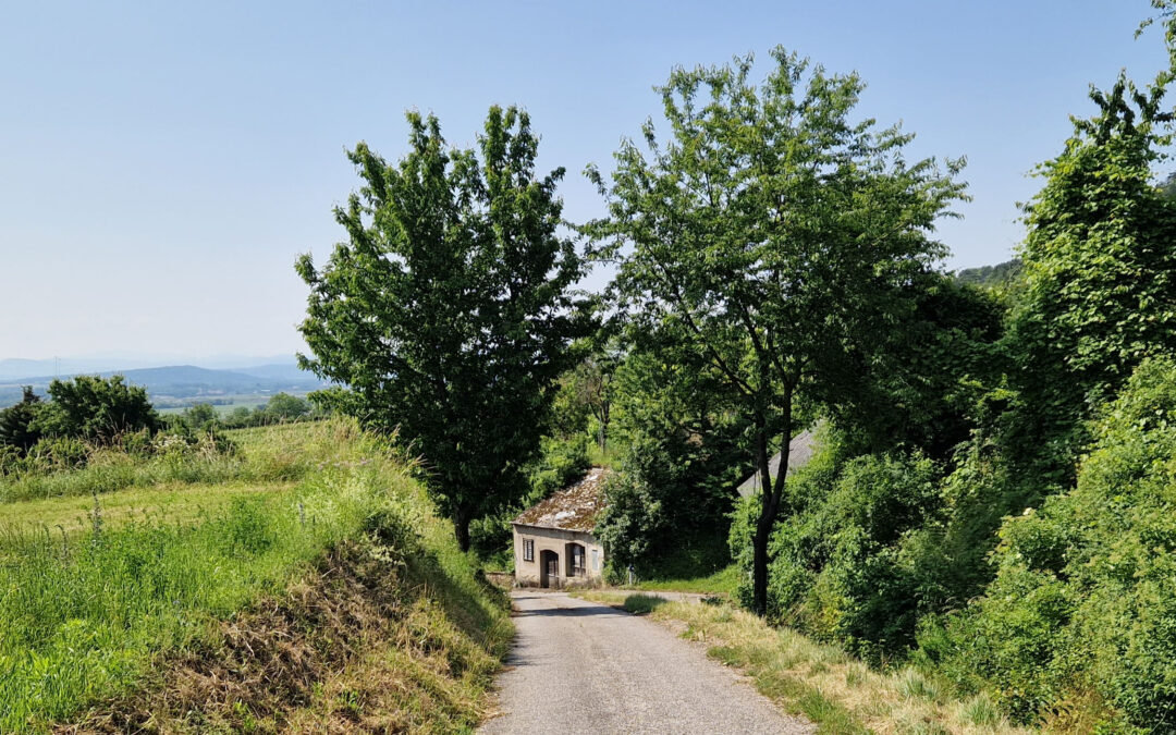 Weinbergwanderweg Nußdorf ob der Traisen 10 – Spazierweg Reichersdorf – Kellergasse