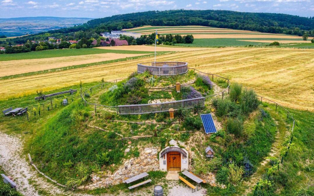 Das Weinbergschnecken-Hupferl in Krustetten