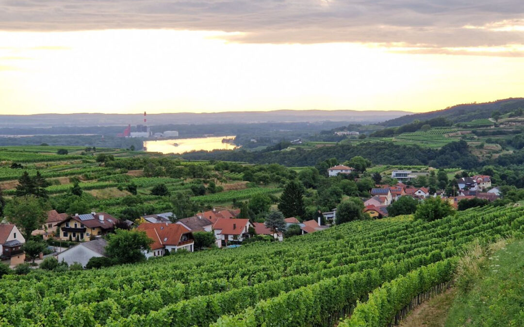 Die Wanderung “Augen auf am Wegesrand” in Krustetten